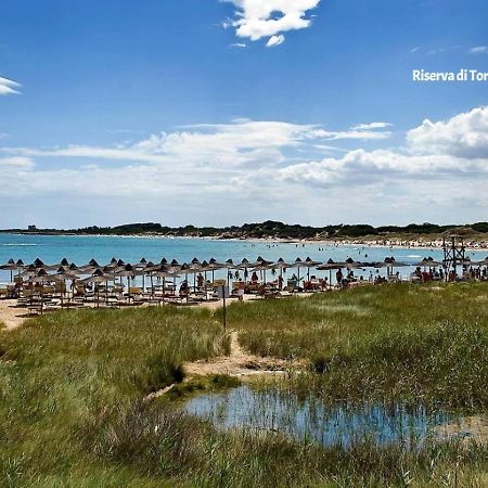 La Corte Della Masseria サン・ヴィート・デイ・ノルマンニ エクステリア 写真