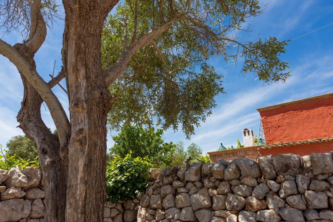 La Corte Della Masseria サン・ヴィート・デイ・ノルマンニ エクステリア 写真
